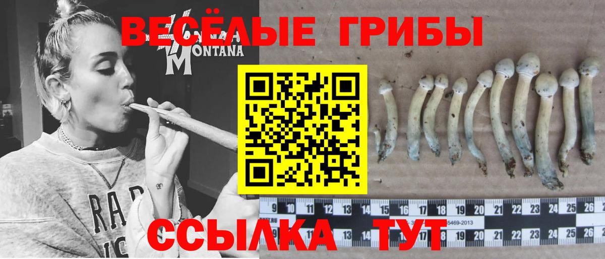 Галлюциногенные грибы ЛСД Дмитров